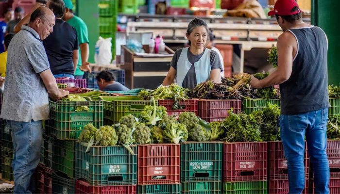 © Rafa Neddermeyer/Agência Brasil Anvisa inicia monitoramento de resíduos de agrotóxicos em alimentos